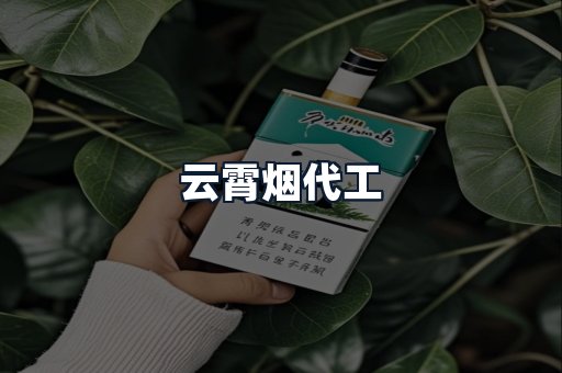 云霄烟代工